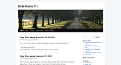 Desktop Screenshot of bibleguidepro.com